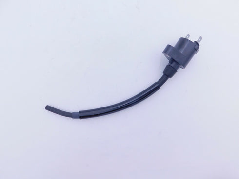 HONDA IGNITION COIL 2006-2008 TRX250EX 2009-2021 TRX250X OEM NEW 30510-HN6-A31